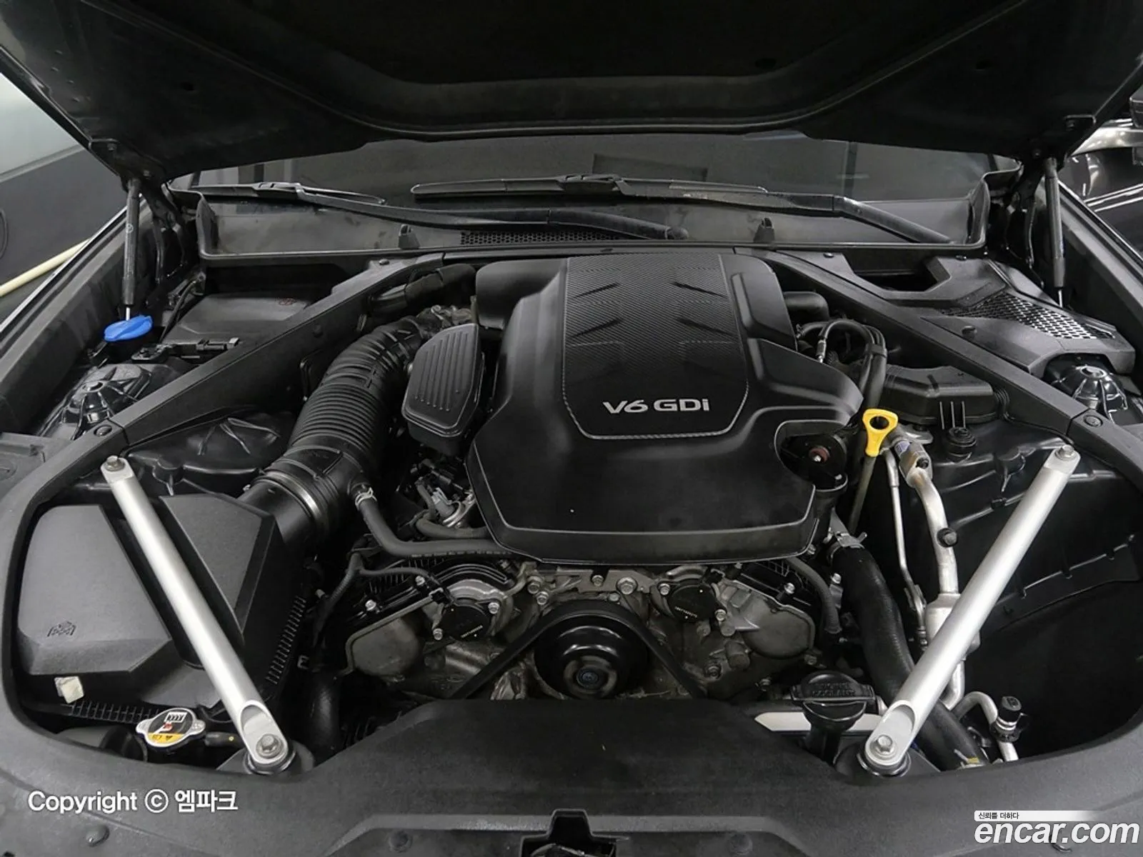 Korex Auto Trade - фотография 54053
