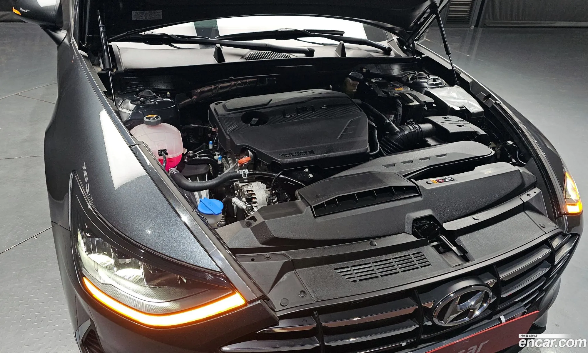 Korex Auto Trade - фотография 16729406