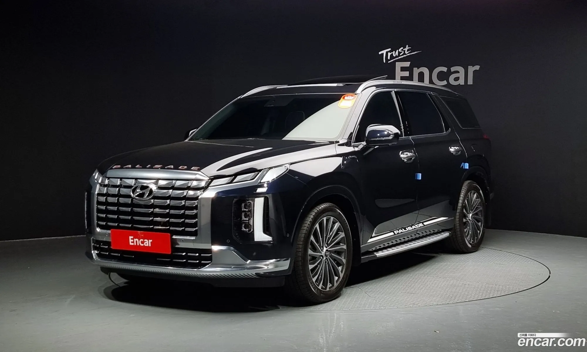 The New Palisade Gasoline 38 4Wd Vip - фотография 16383756