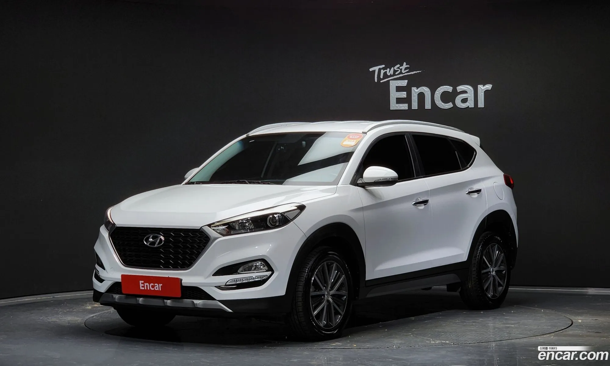 All New Tucson Diesel 17 2Wd Modern Fever - фотография 15682083
