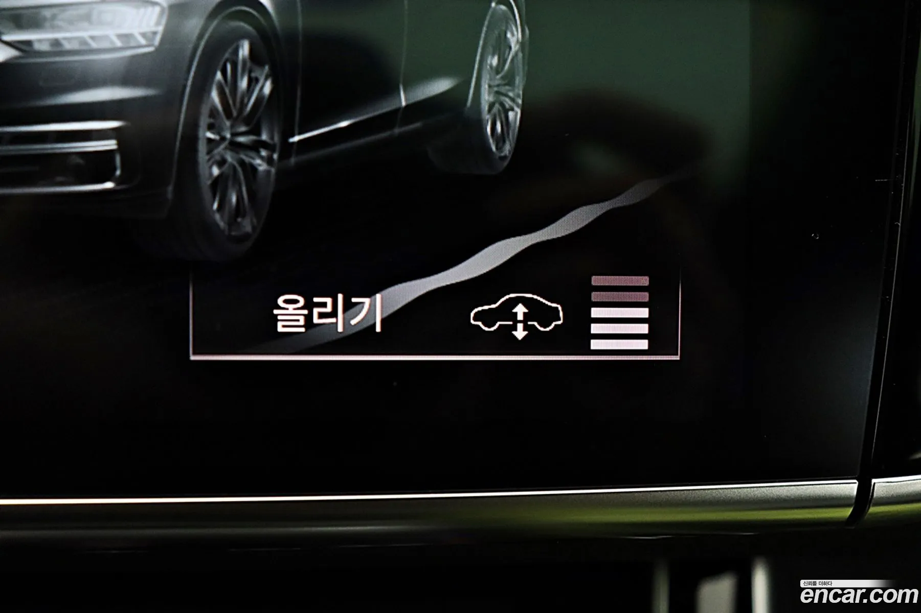 Korex Auto Trade - фотография 1912005