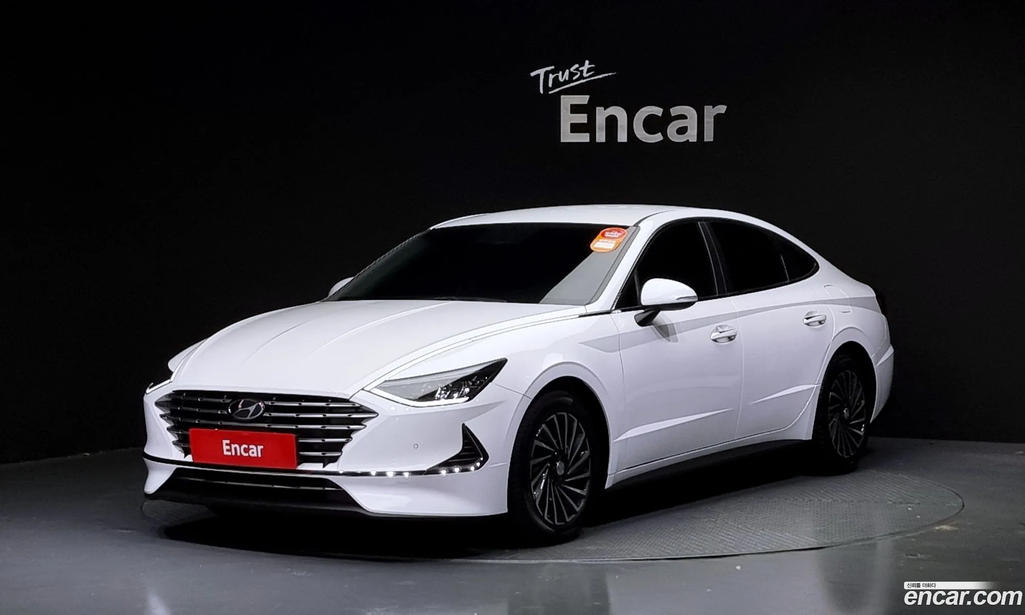 Sonata Hybrid Dn8 Premium Family - фотография 15567740