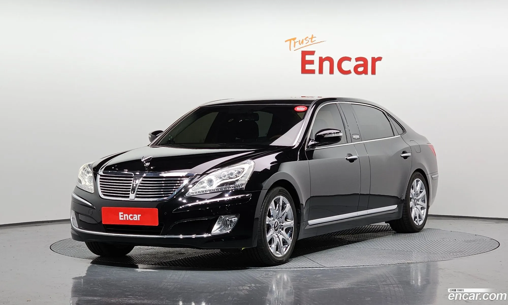 Equus New Vl500 Prestige - фотография 12772981
