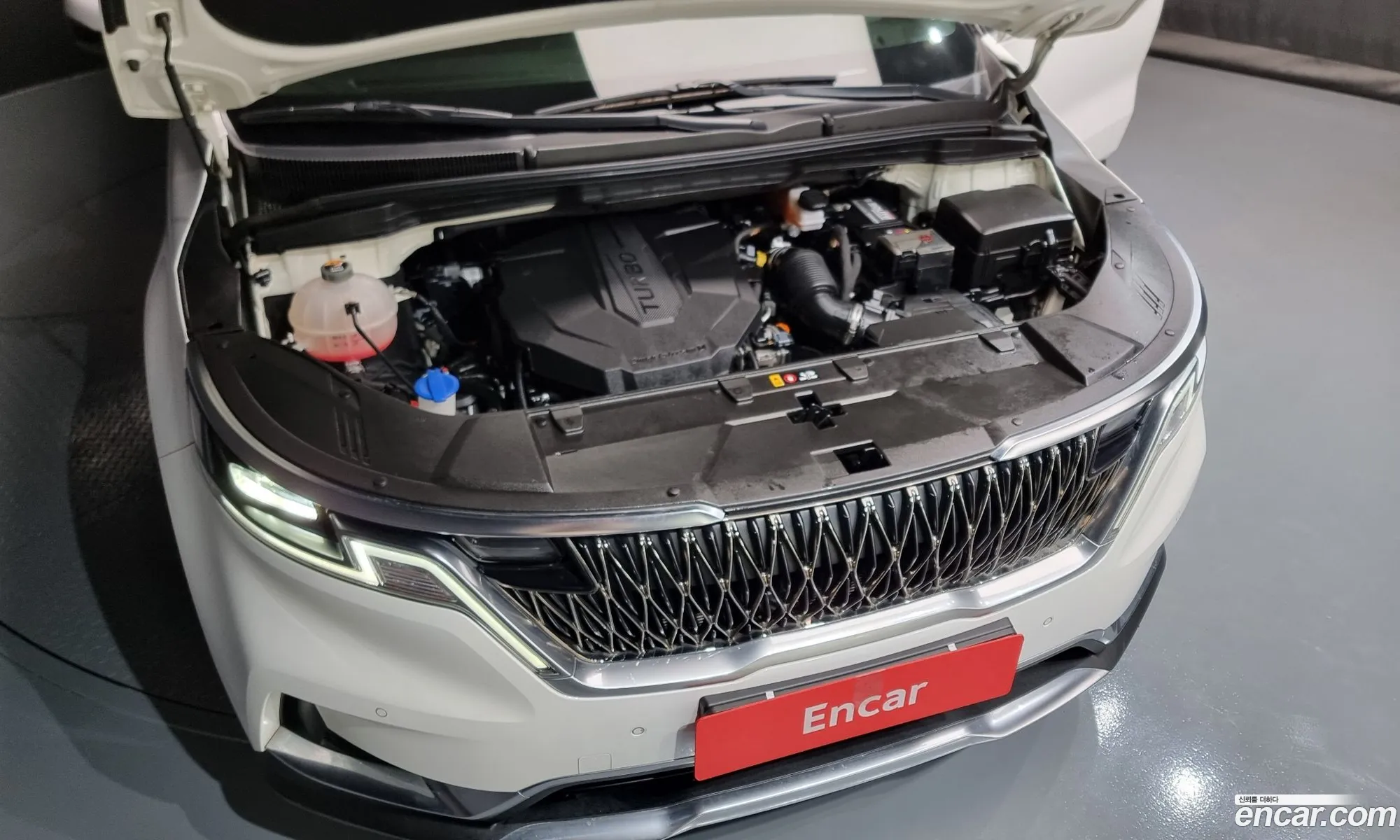 Korex Auto Trade - фотография 11065698