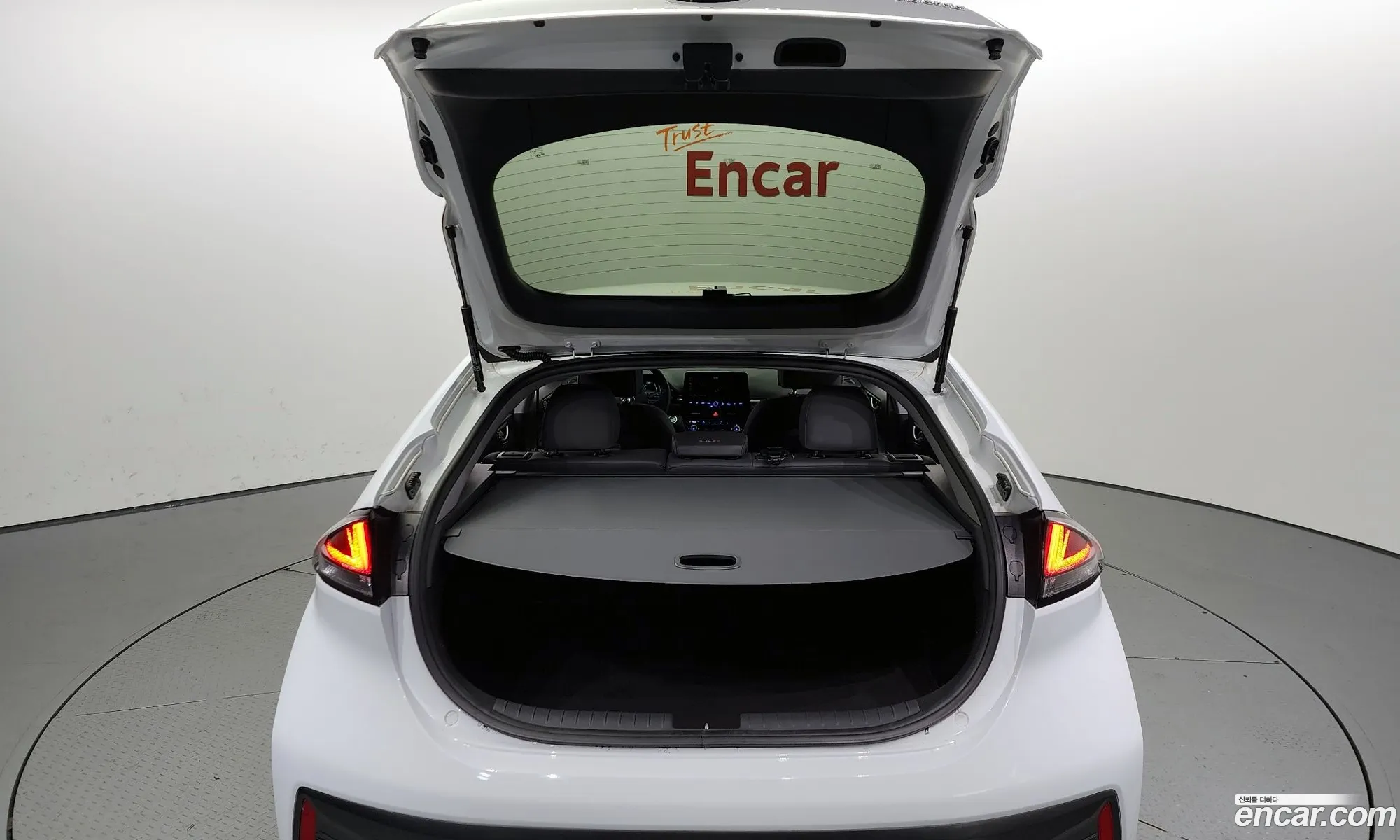 The New Ionic Electric N - фотография 13196652