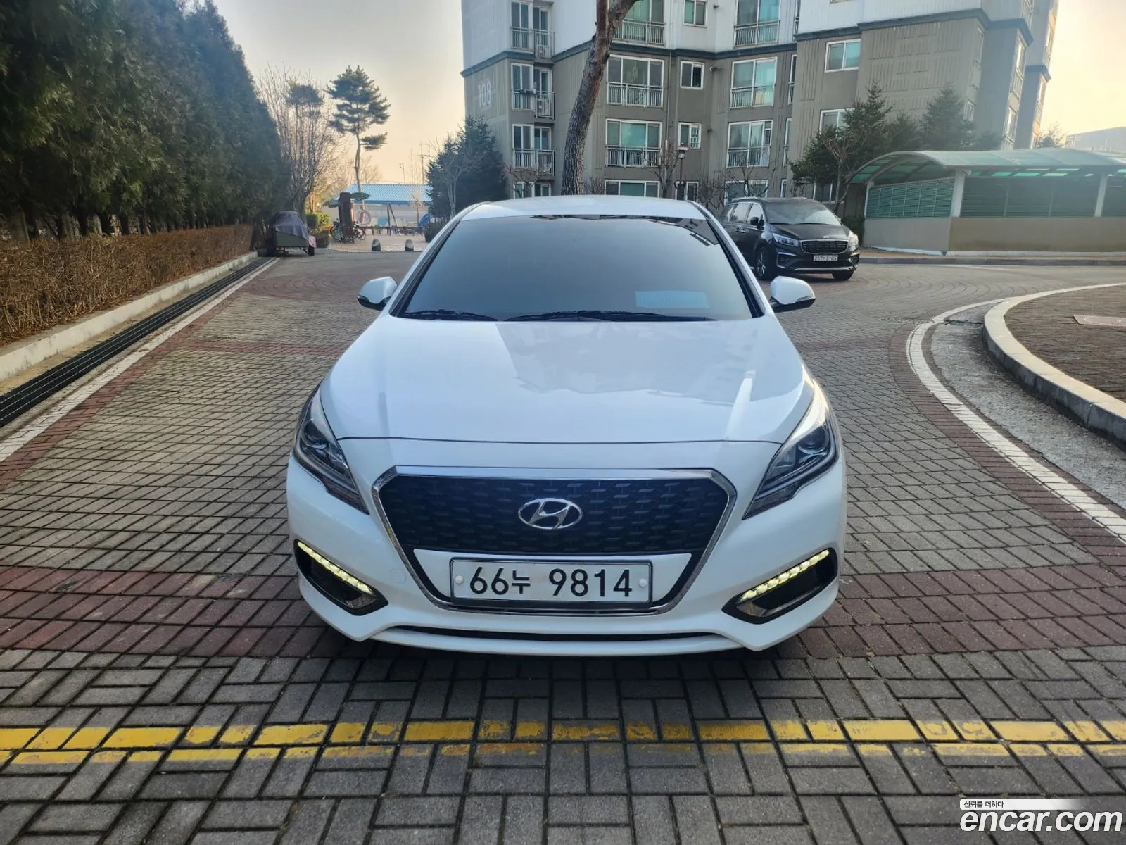 Lf Sonata Hybrid 20 Hev Modern - фотография 12831717