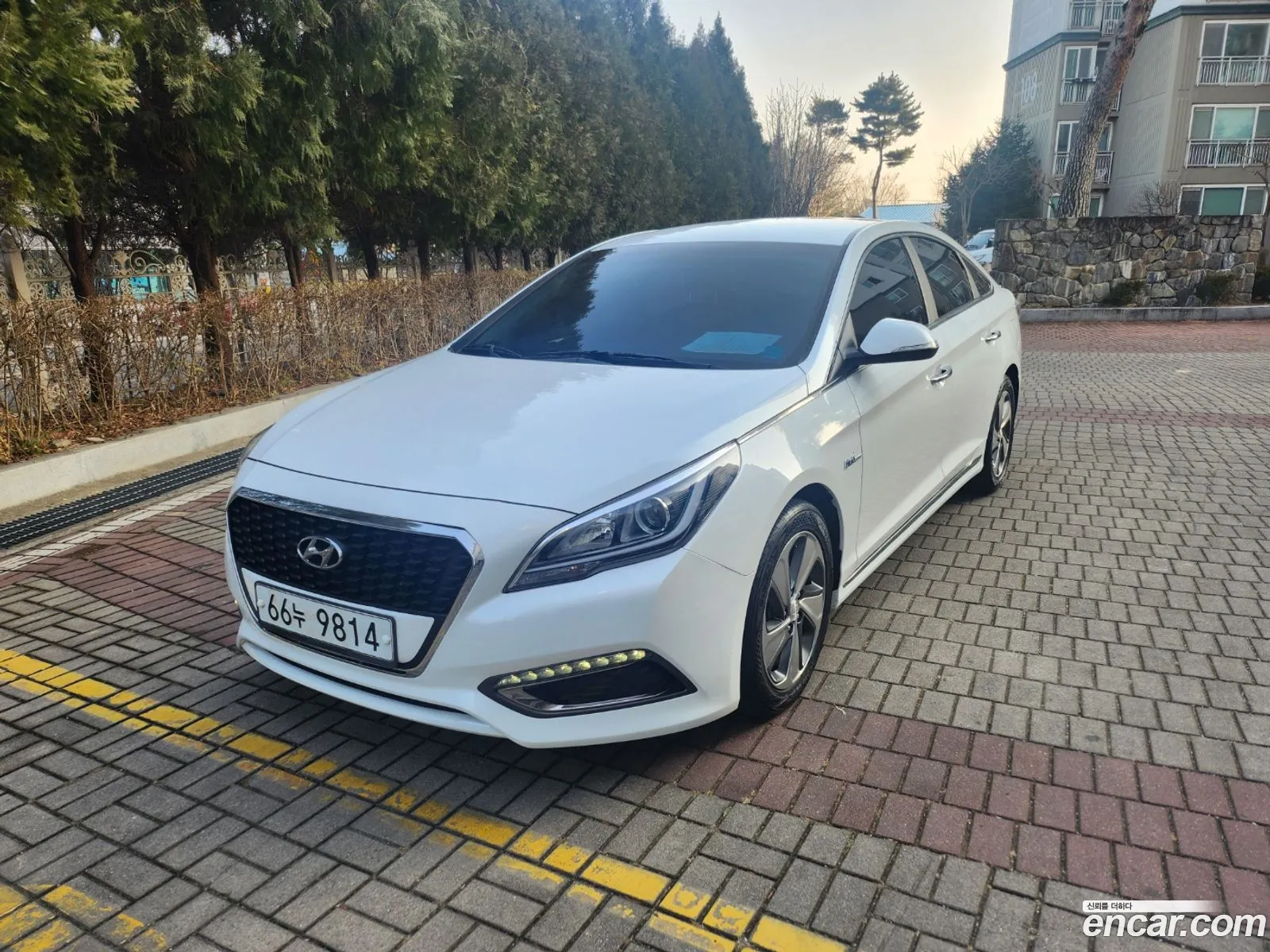 Korex Auto Trade - фотография 12890413