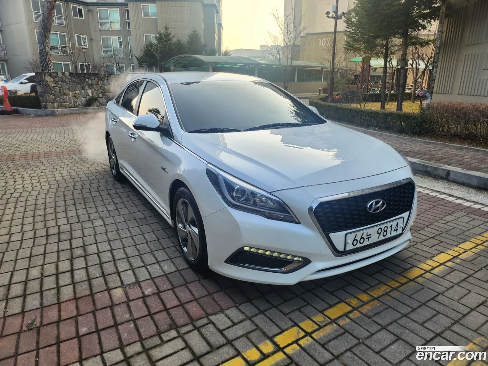 Korex Auto Trade - фотография 12890412