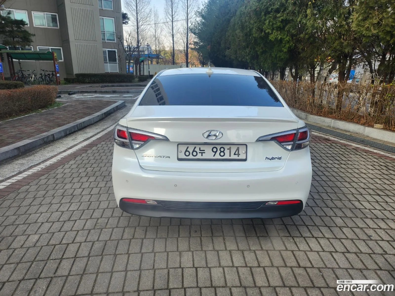 Korex Auto Trade - фотография 12890411