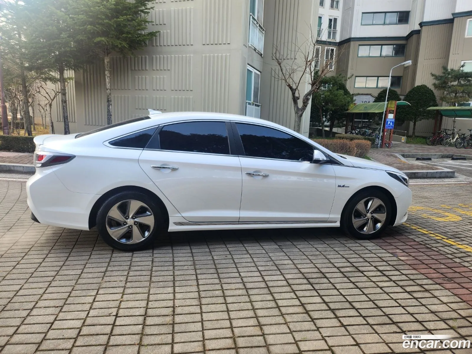 Korex Auto Trade - фотография 12890407
