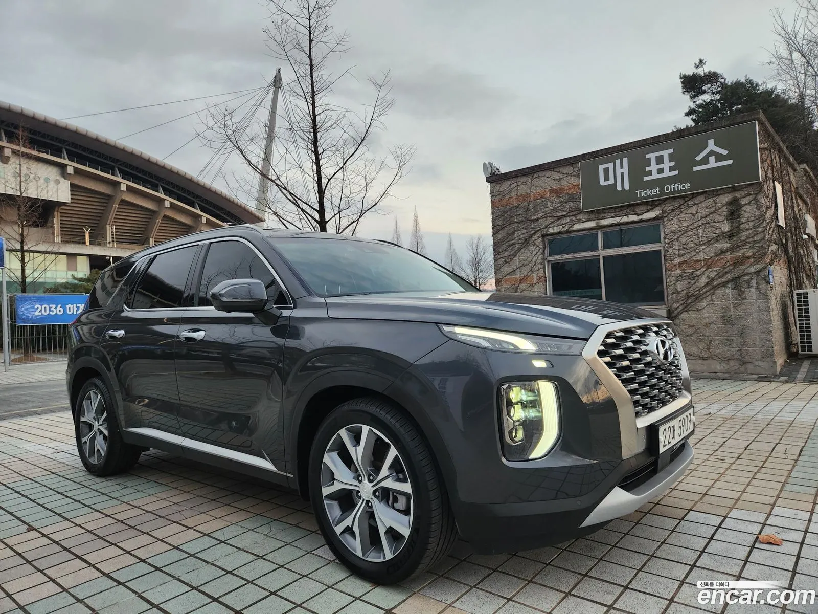 Palisade Gasoline 38 4Wd Prestige - фотография 12904109
