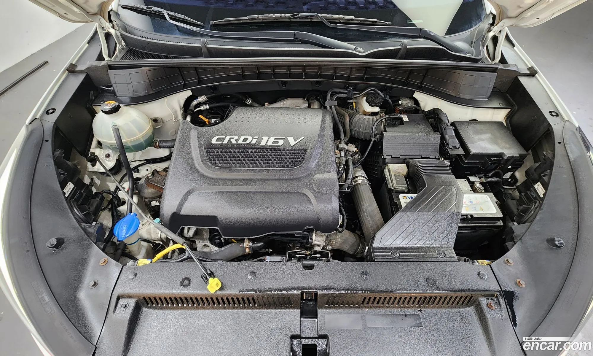 Korex Auto Trade - фотография 13136699