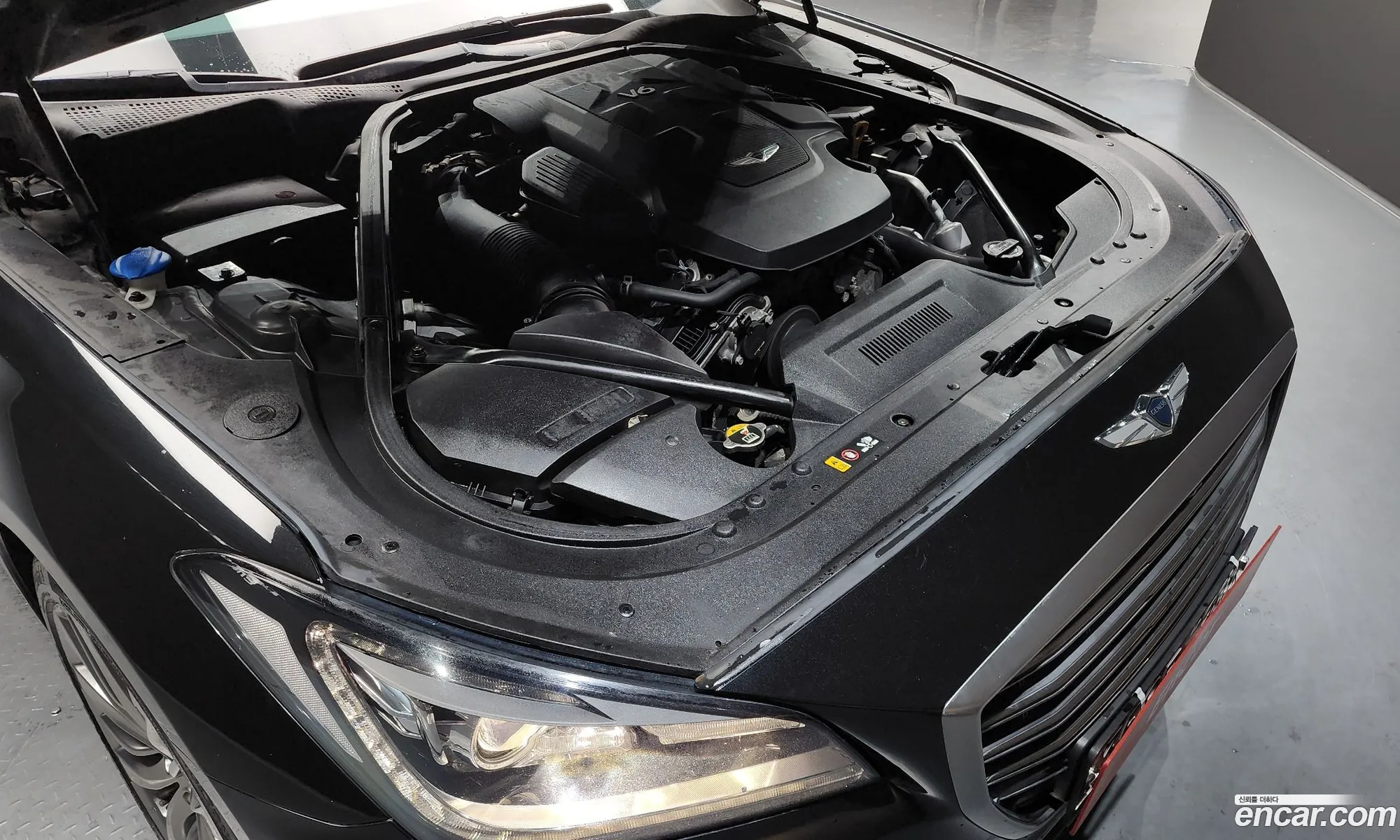 Korex Auto Trade - фотография 12691246