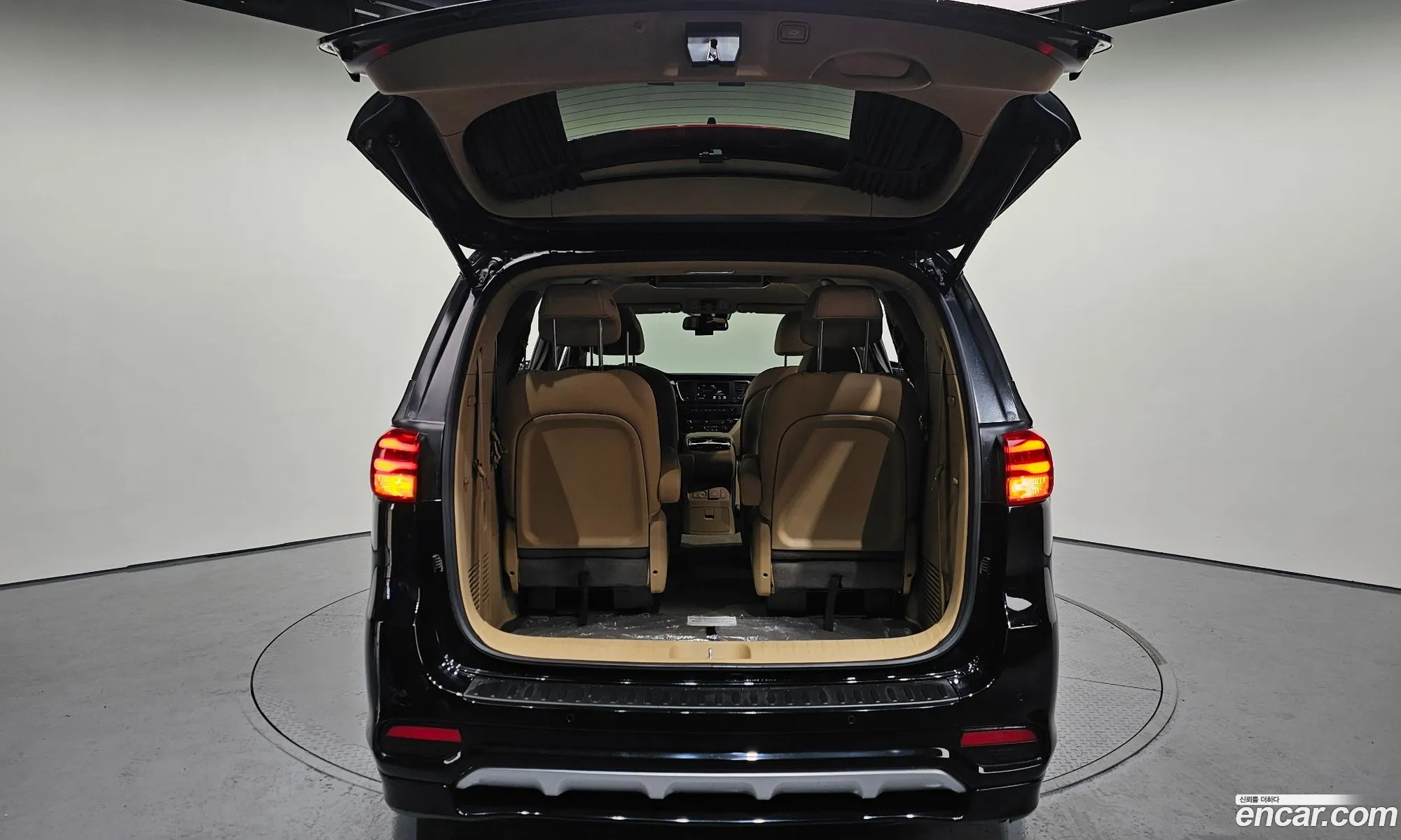 The New Carnival Gasoline 9 -Seater High Rimmujin Noblesse Special - фотография 15737595