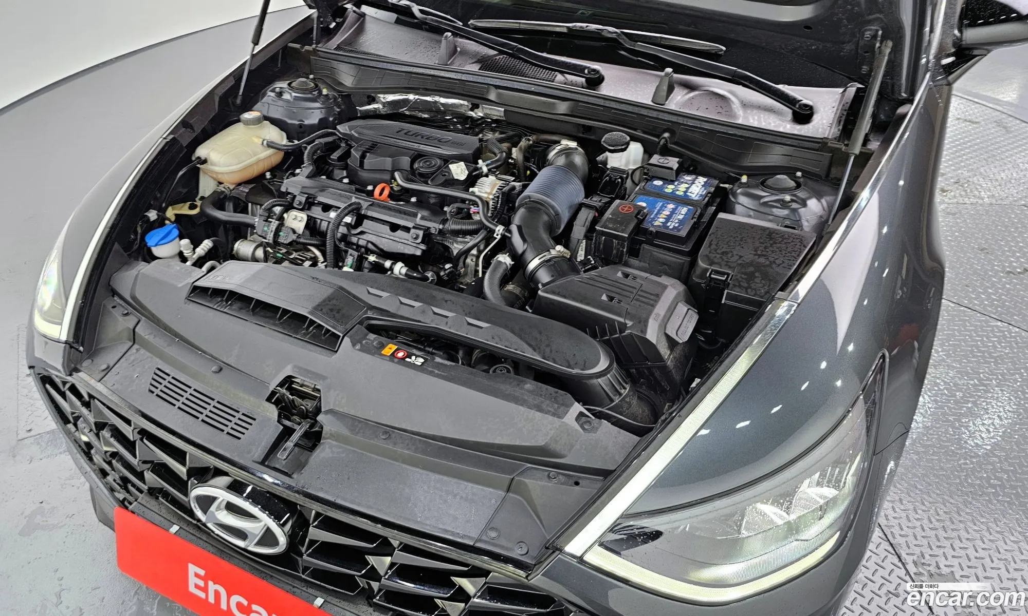 Korex Auto Trade - фотография 11331552