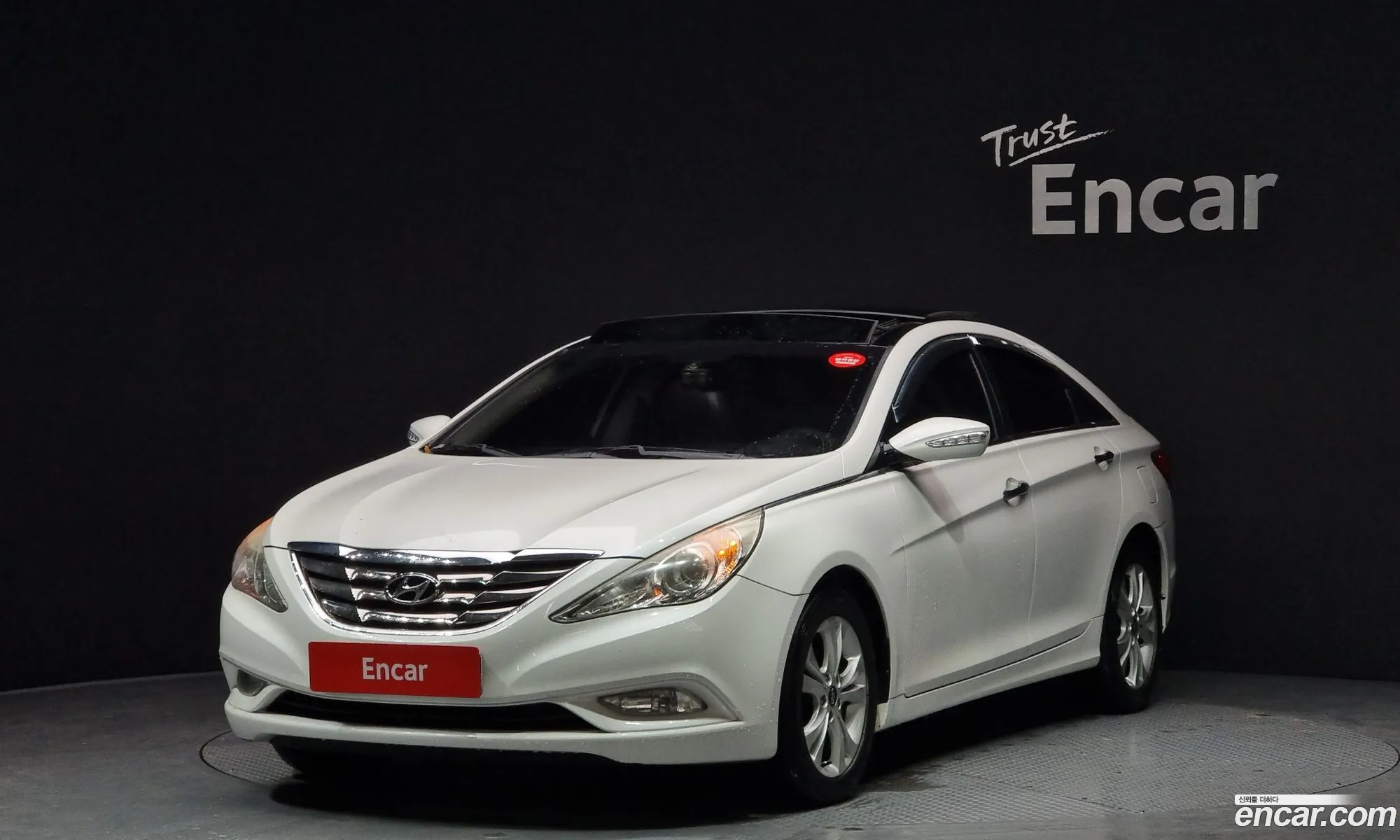 Yf Sonata Lpi Premier For The Disabled - фотография 13253131