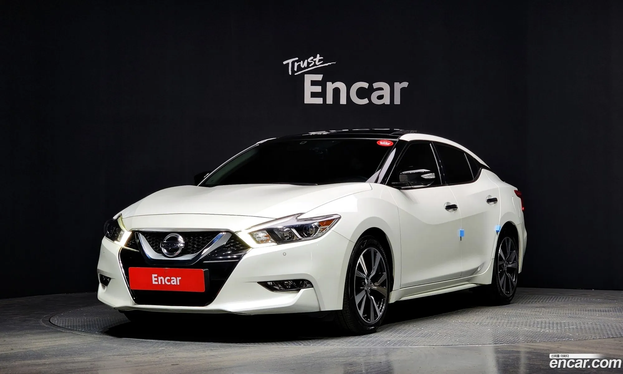 Maxima A36 35 Platinum - фотография 3495555
