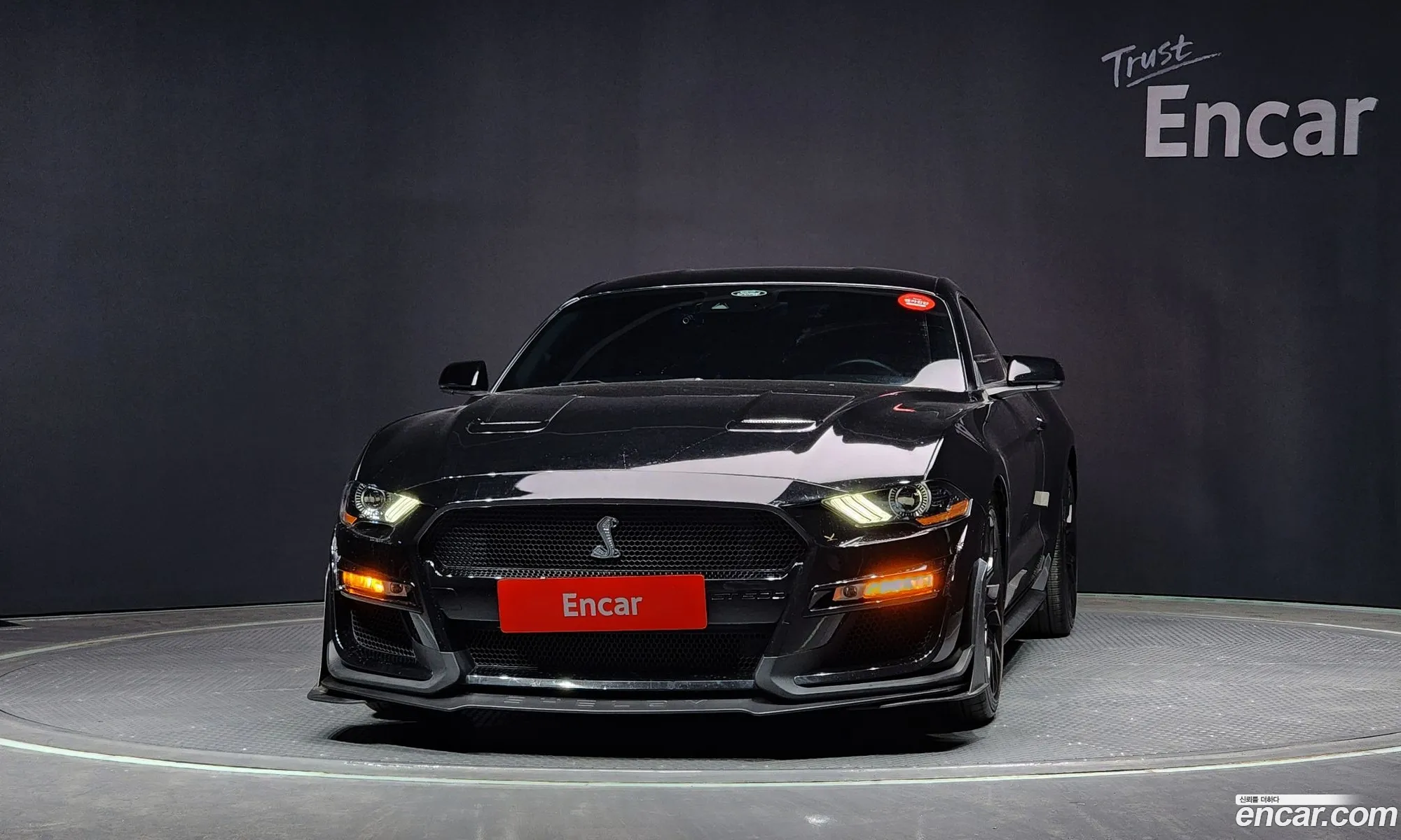 Korex Auto Trade - фотография 14551815