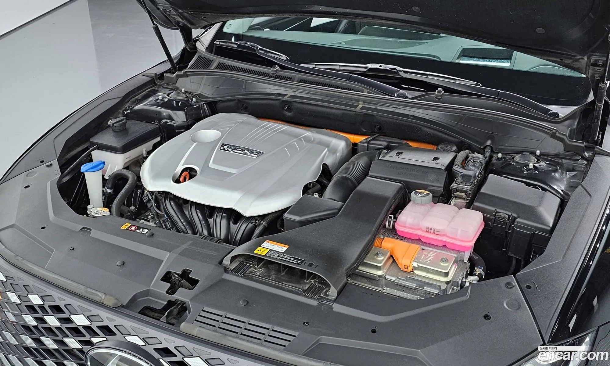 Korex Auto Trade - фотография 13150295