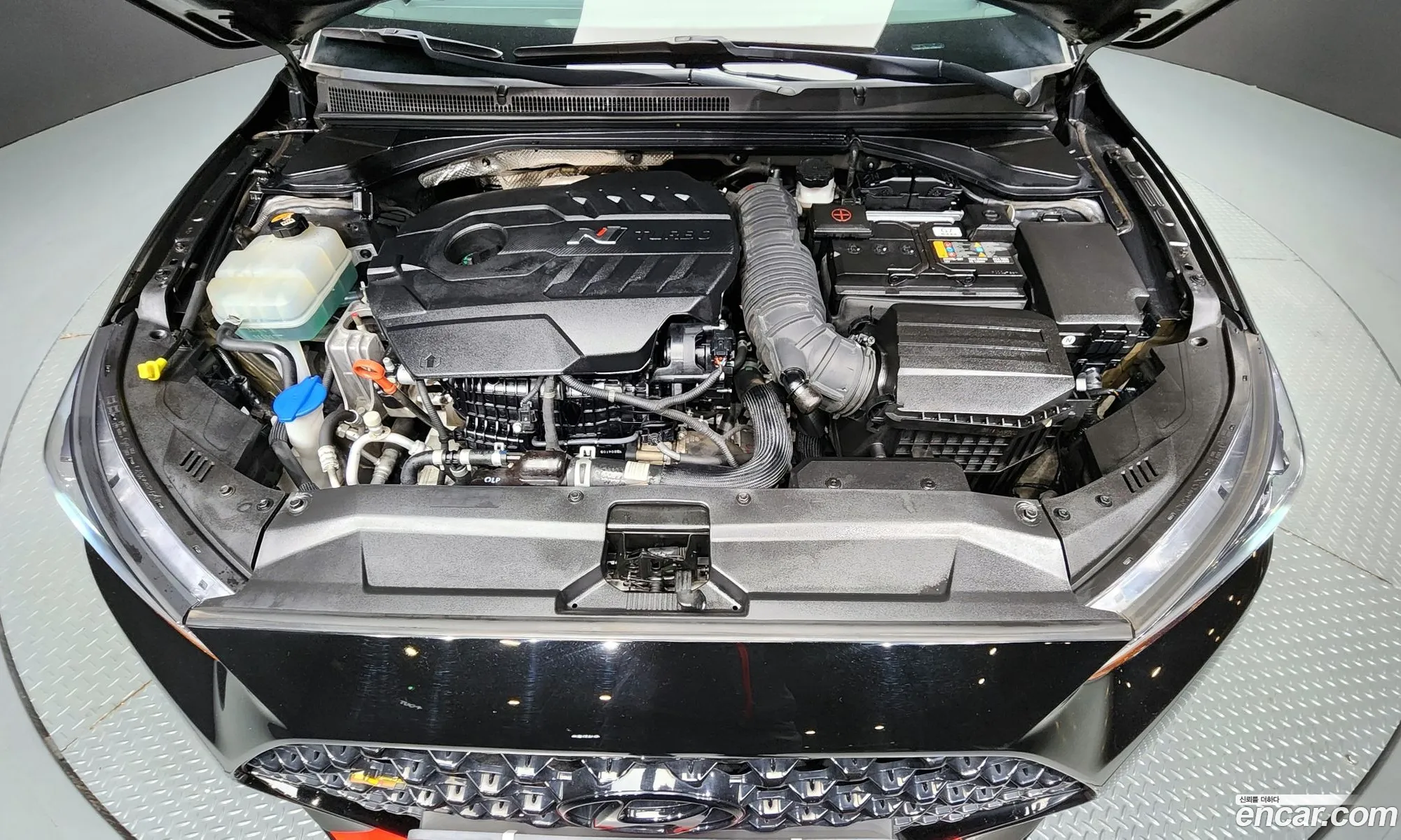 Korex Auto Trade - фотография 13556410