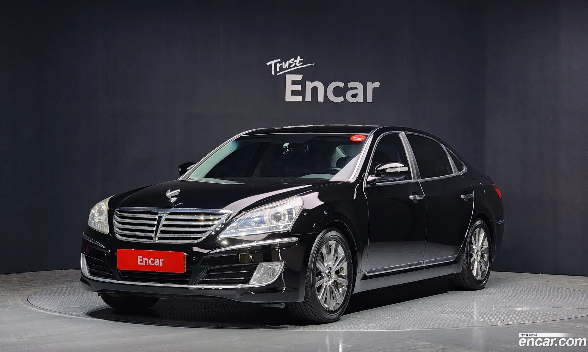 Equus New Vs380 Luxury - фотография 13582853