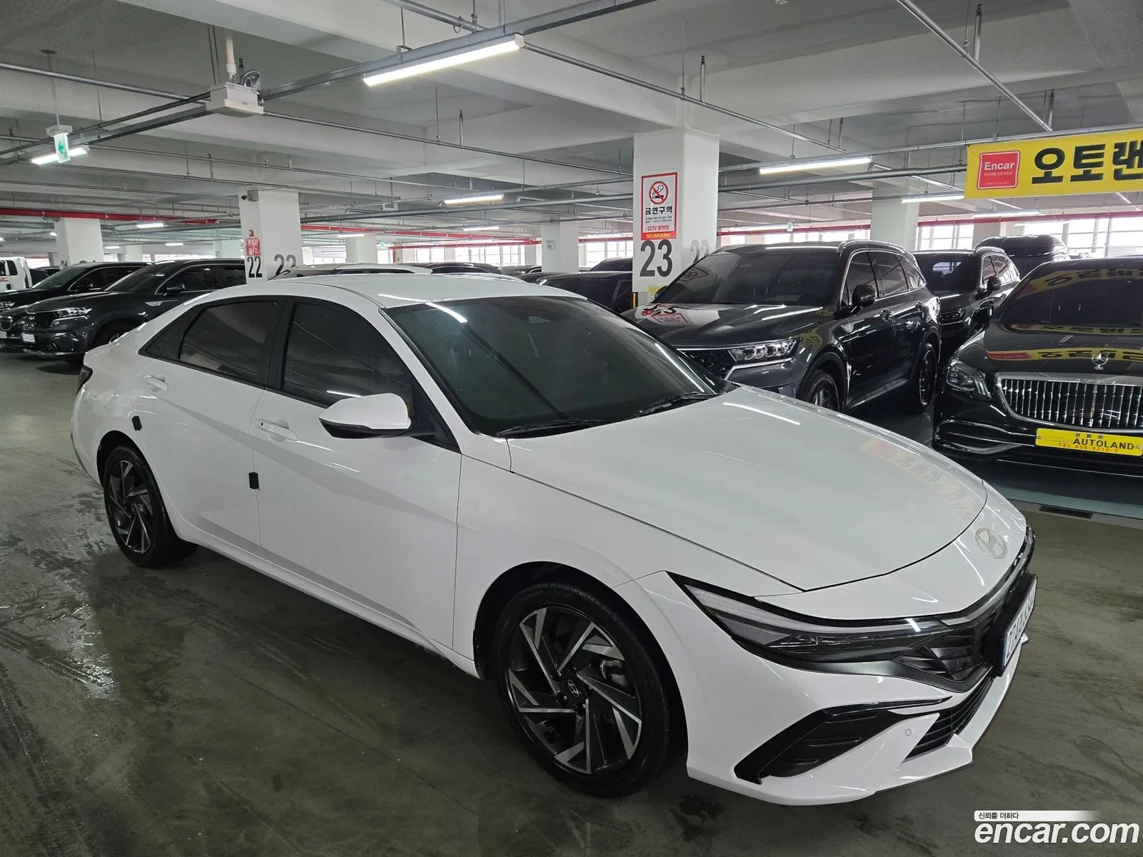 Korex Auto Trade - фотография 12296667