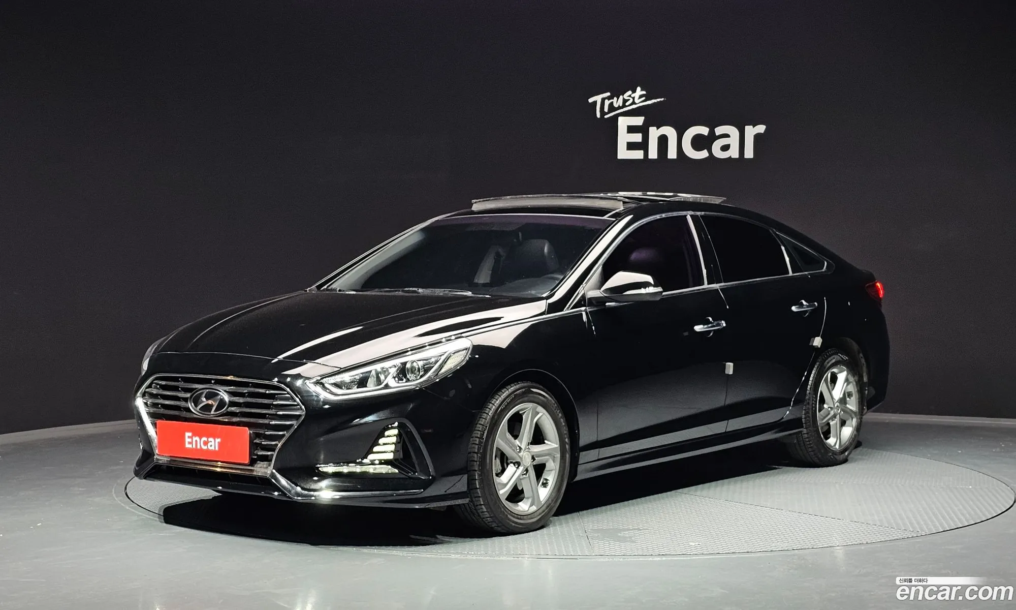 Sonata New Rise 17 Diesel Smart - фотография 13083282