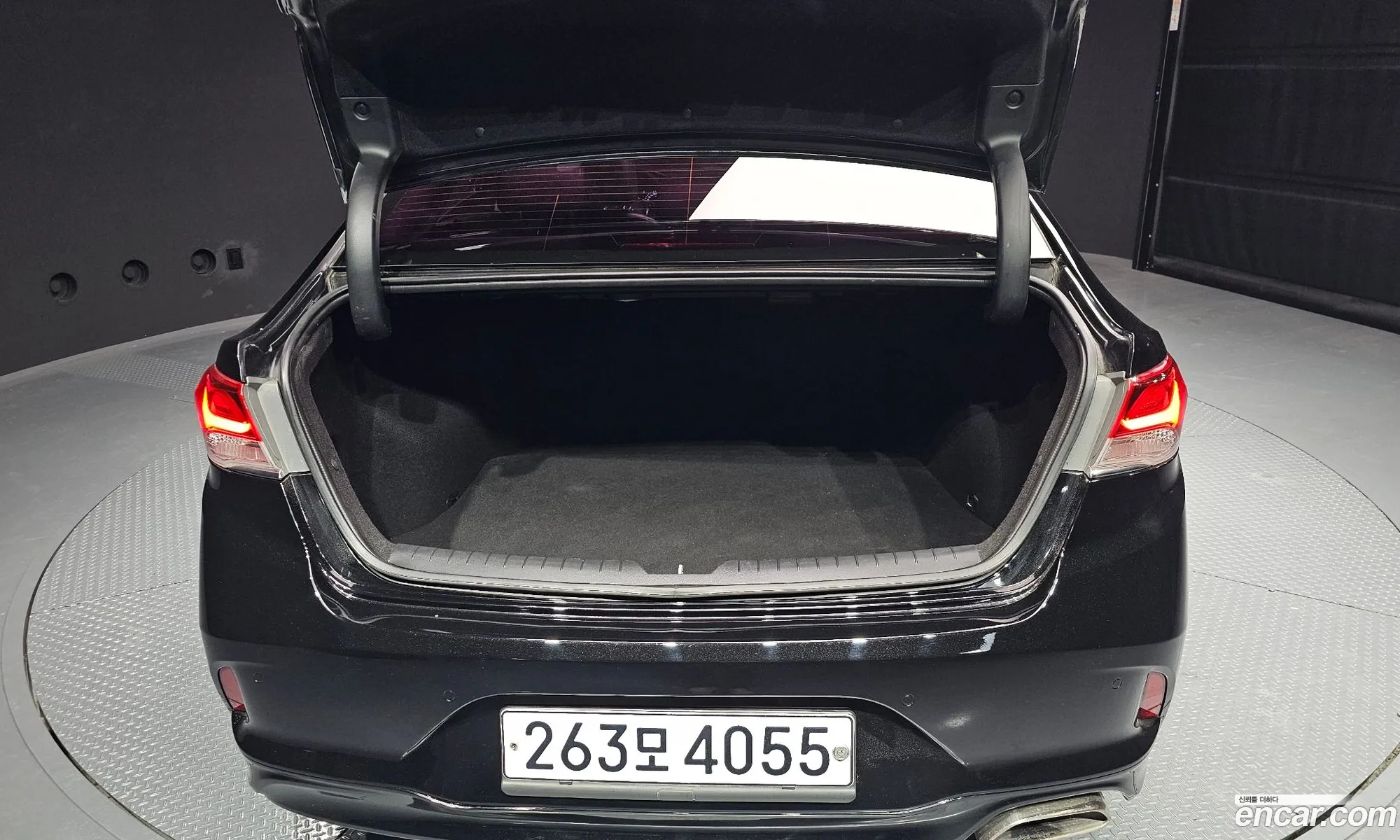 Sonata New Rise 17 Diesel Smart - фотография 13083283