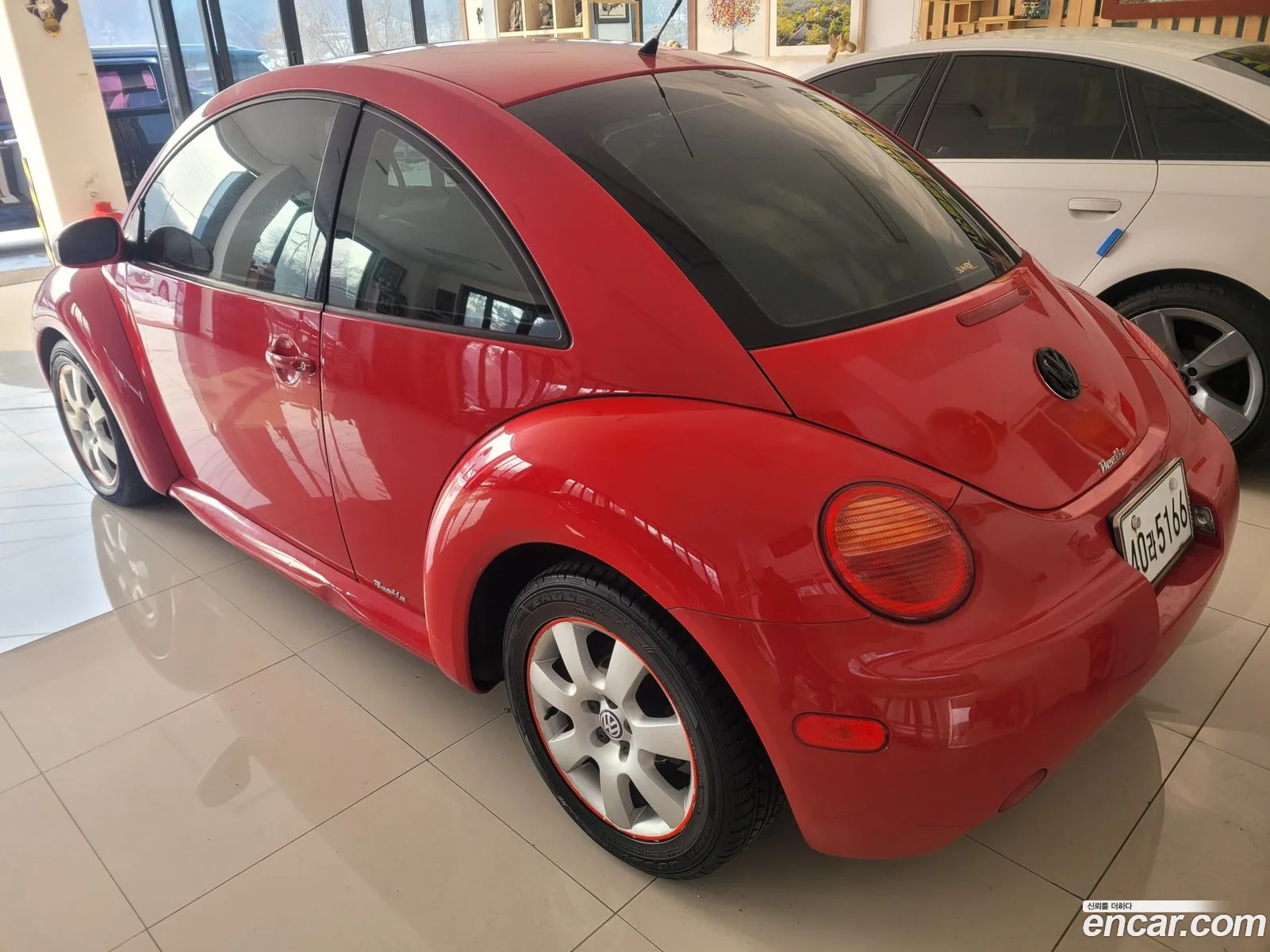 Korex Auto Trade - фотография 4202433