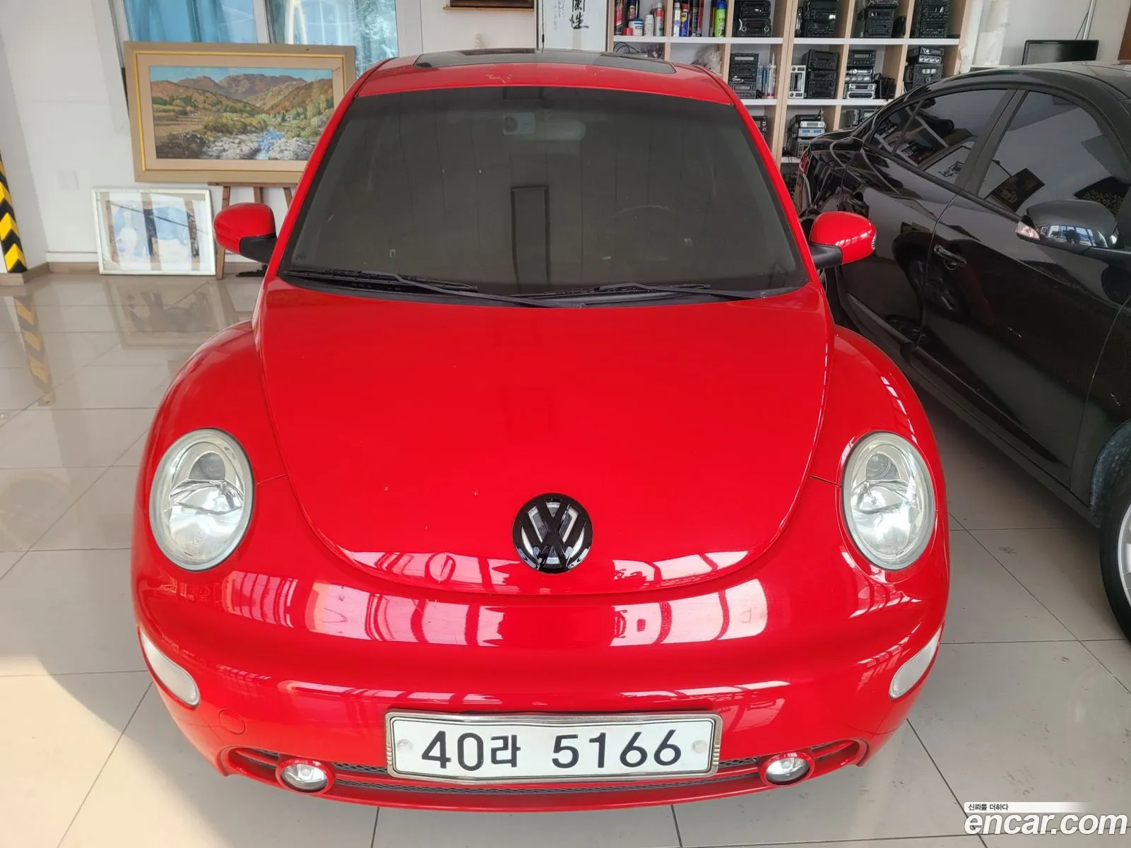 Volkswagen Beetle Deluxe 20 2005 - фотография 3958504