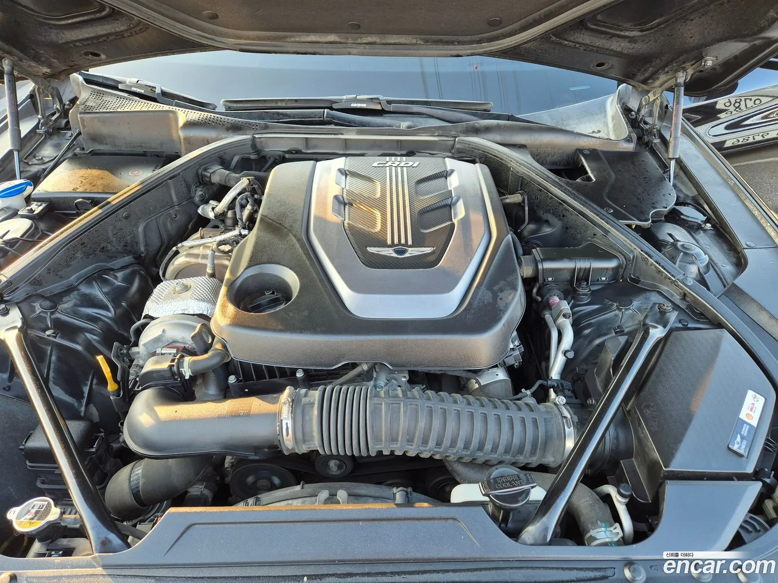 Korex Auto Trade - фотография 12576666