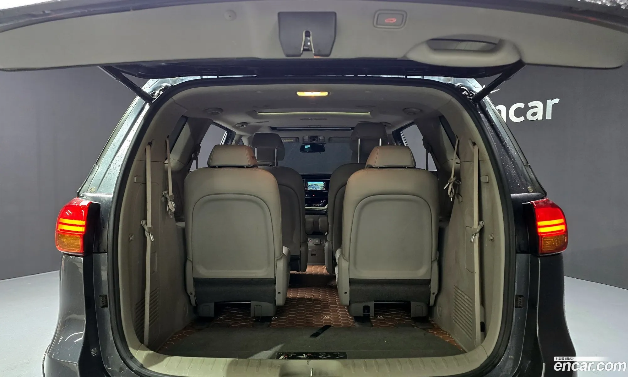All New Carnival 9 -Seater Prestige - фотография 11839108