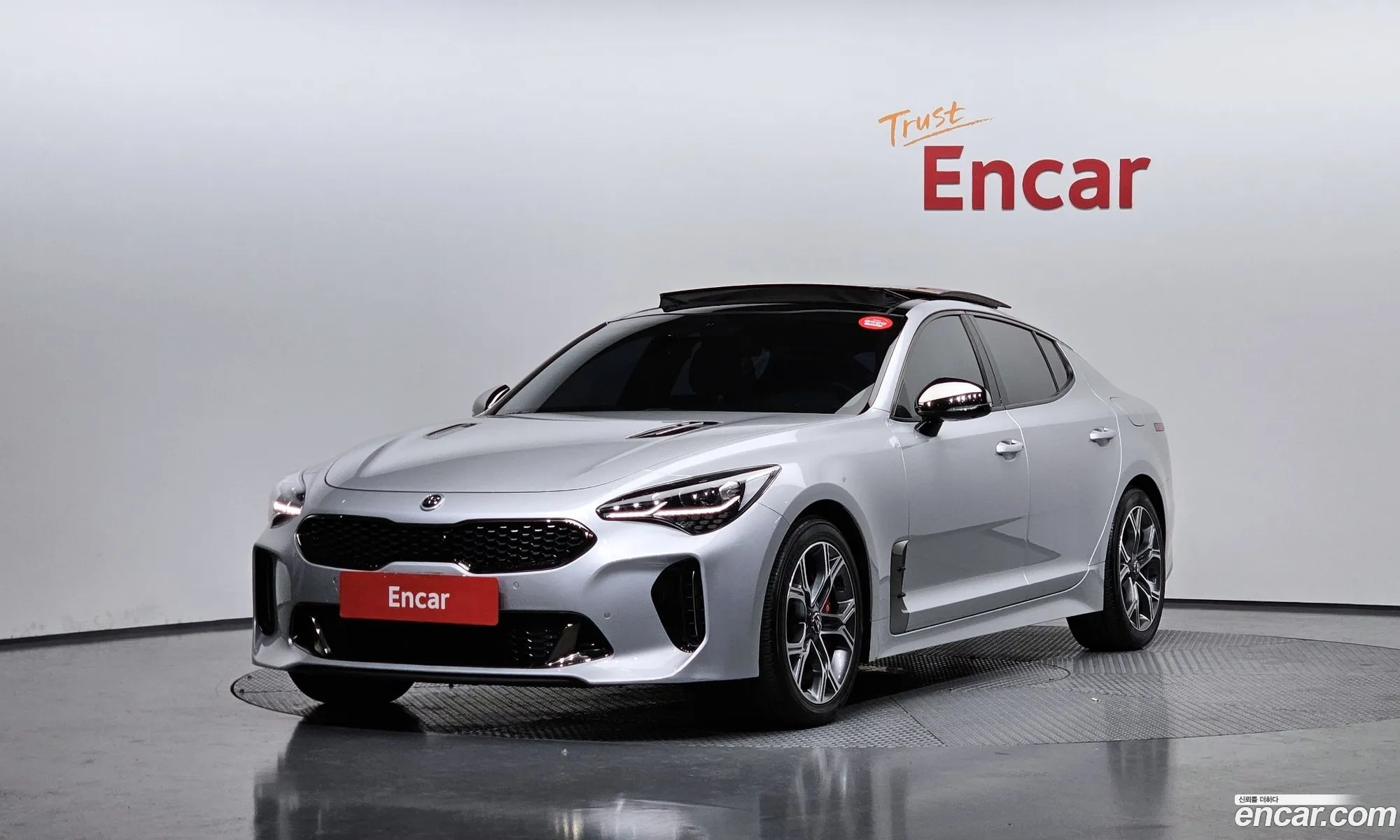 Stinger 20 Turbo 2Wd Platinum - фотография 17806900