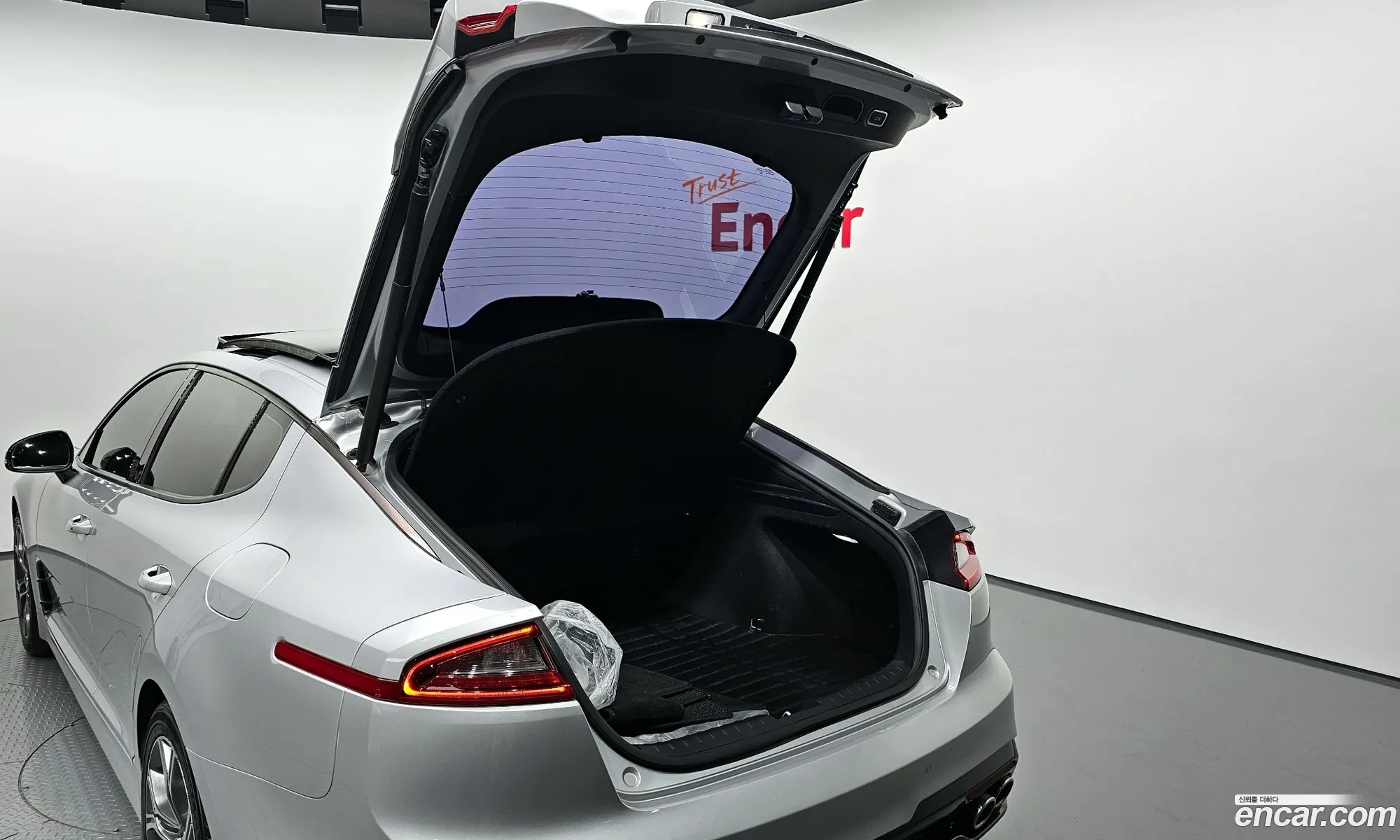 Stinger 20 Turbo 2Wd Platinum - фотография 17806901