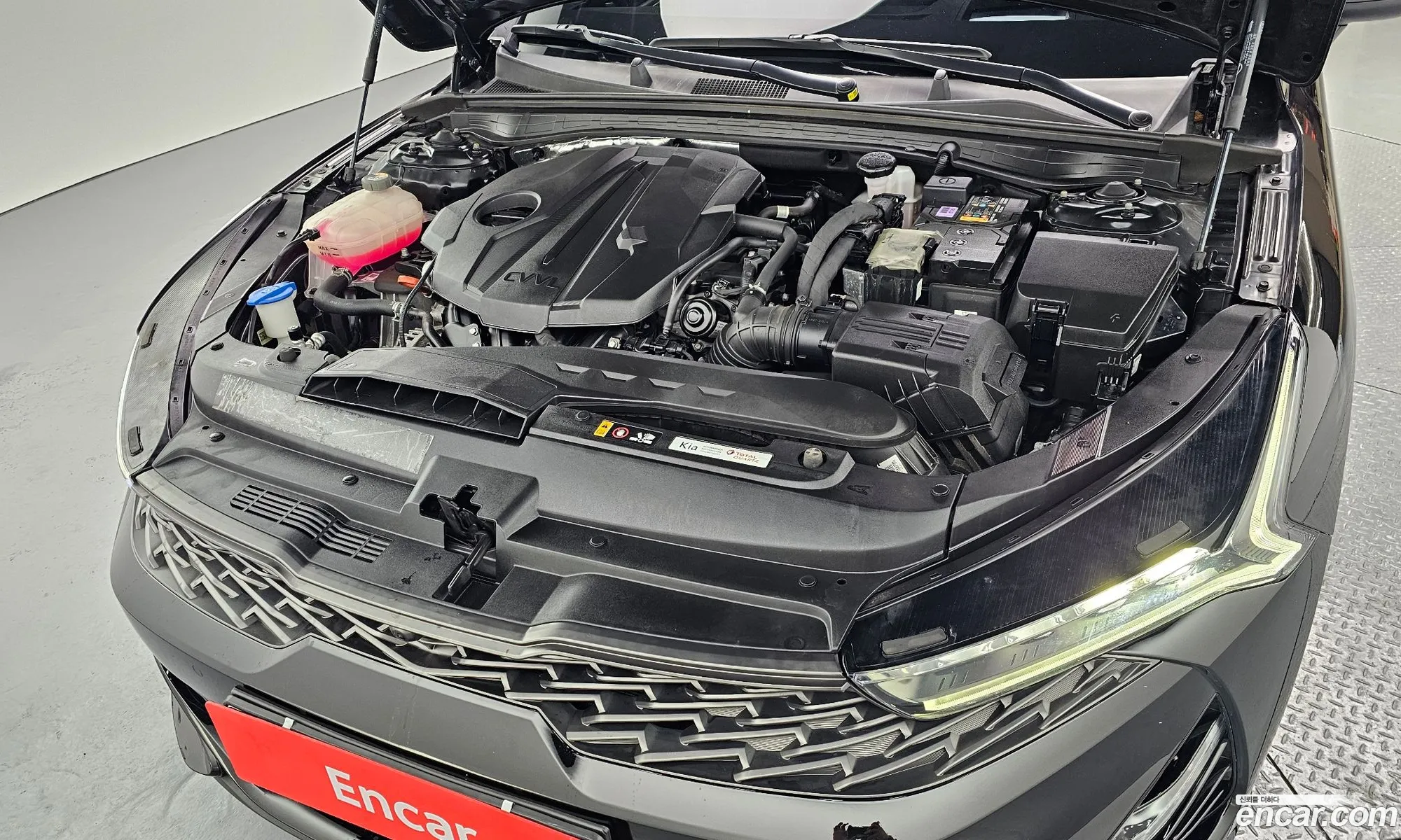 Korex Auto Trade - фотография 12328324