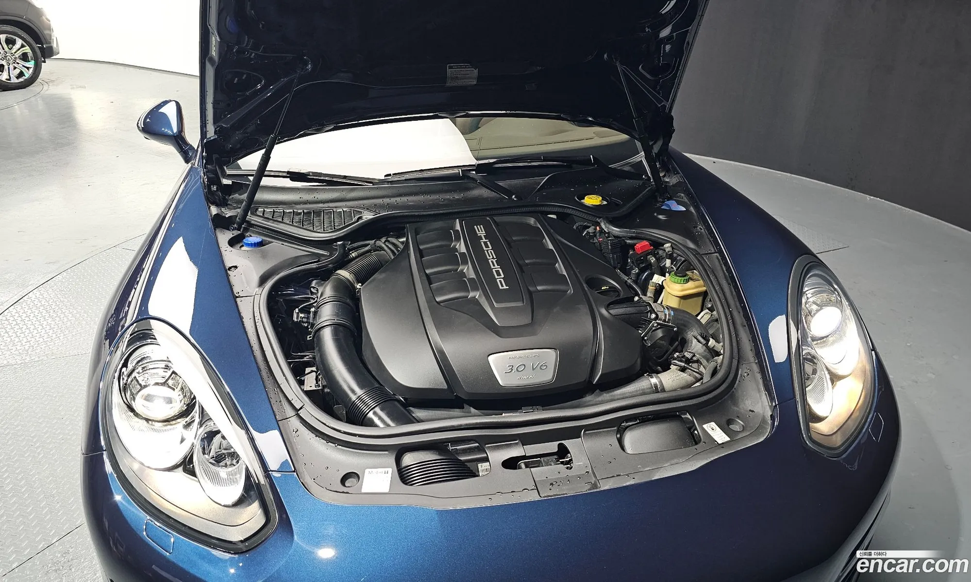 Korex Auto Trade - фотография 6351354