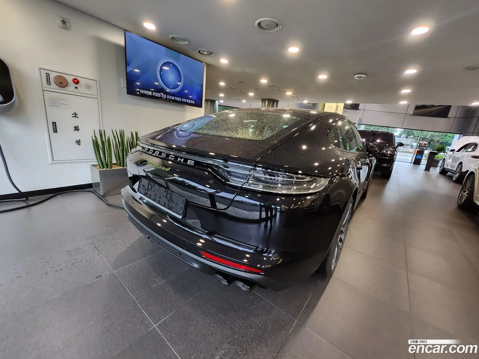 Korex Auto Trade - фотография 4745304