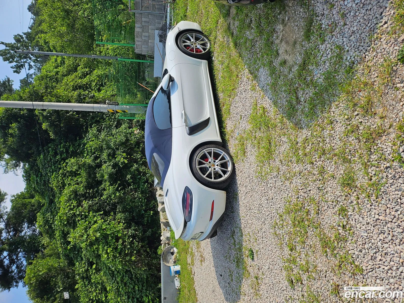718 Boxster S 25 - фотография 3727883
