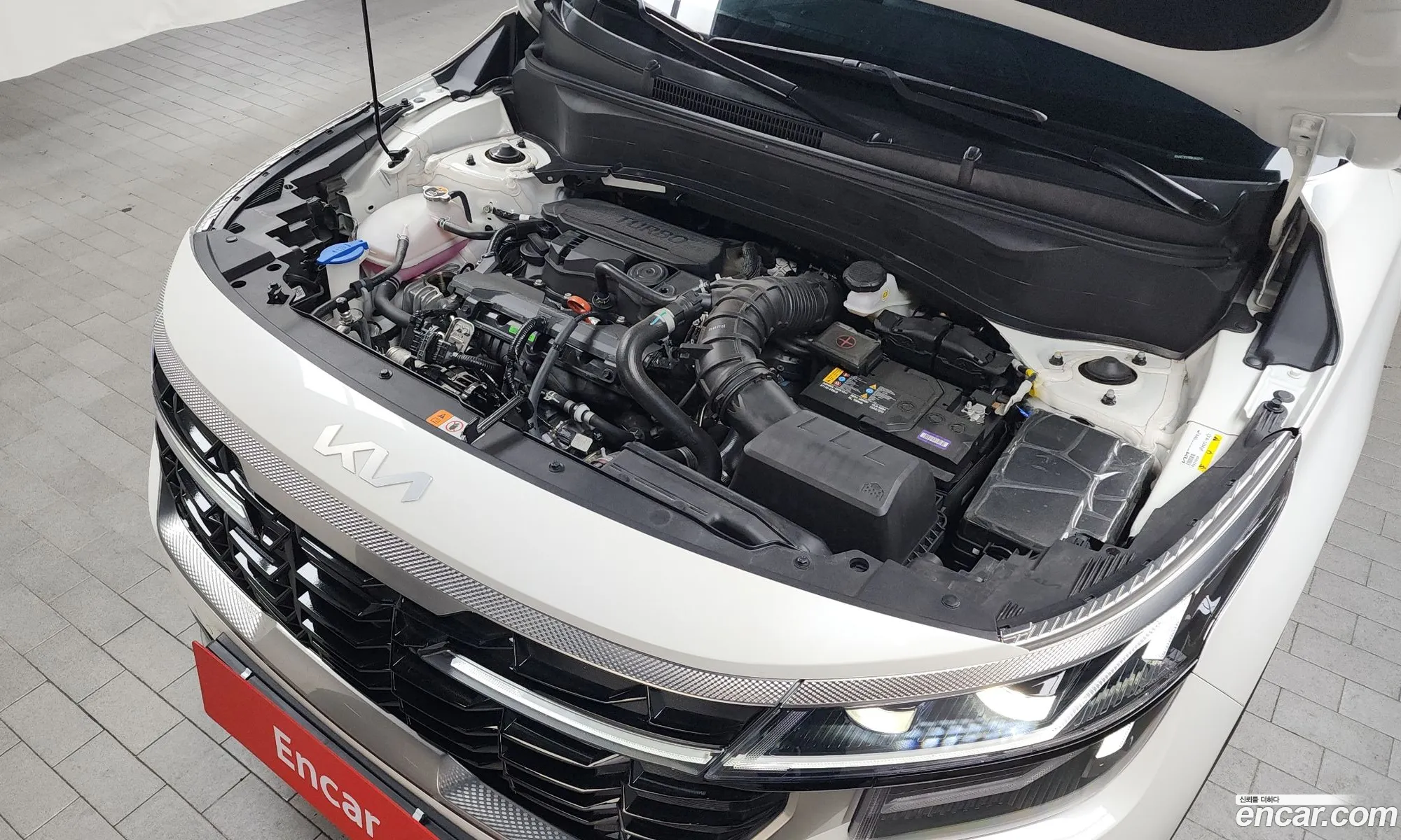 Korex Auto Trade - фотография 11484728