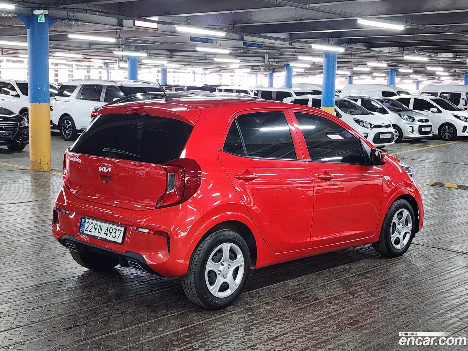 Korex Auto Trade - фотография 11530635
