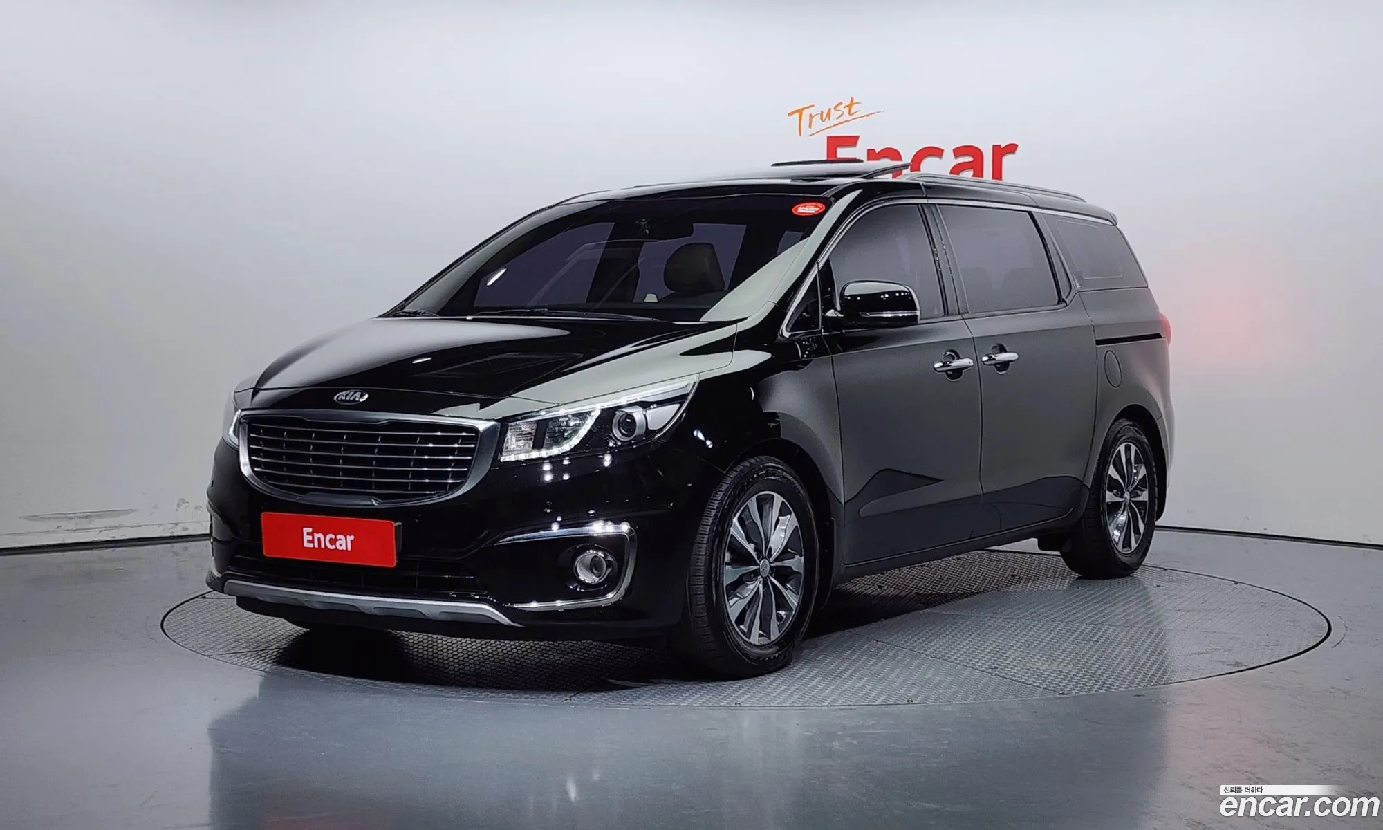 All New Carnival 9 -Seater Luxury - фотография 818752