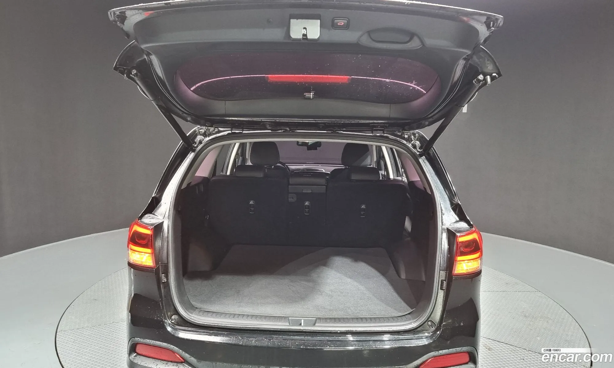 All New Sorento Diesel 22 2Wd Noblesse Special - фотография 170063