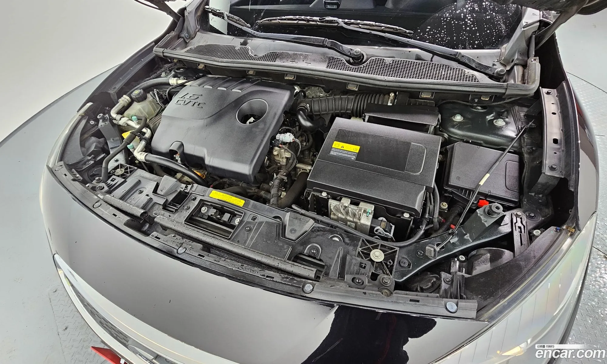 Korex Auto Trade - фотография 11232528