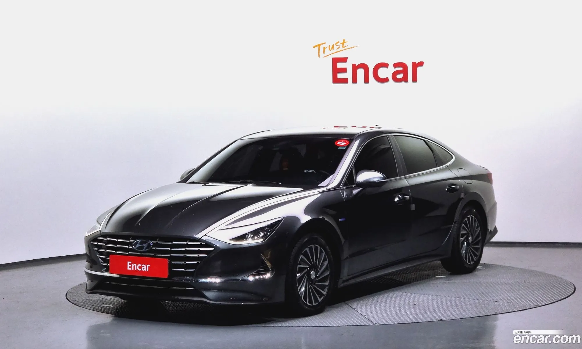 Sonata Hybrid Dn8 Premium Family - фотография 1226698