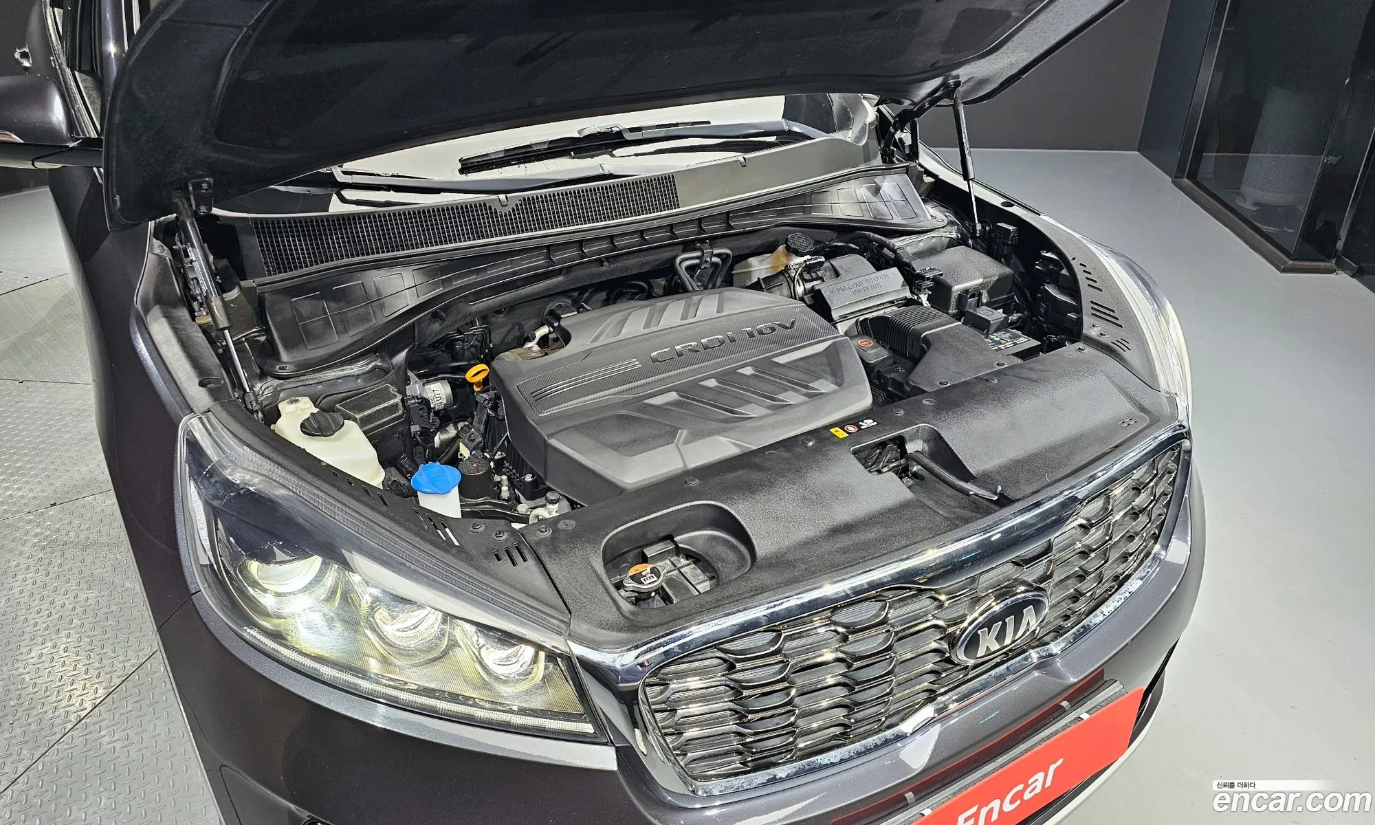 Korex Auto Trade - фотография 11206373