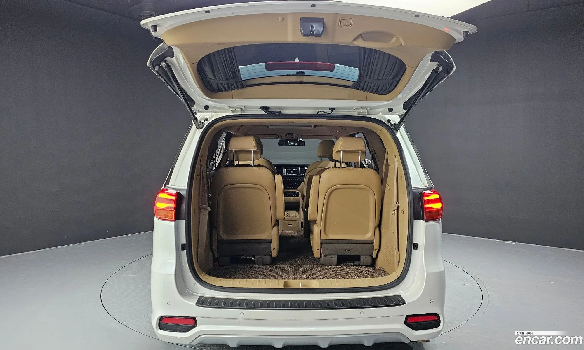 The New Carnival 9 -Seater High Rimmujin Noblesse Special - фотография 80059
