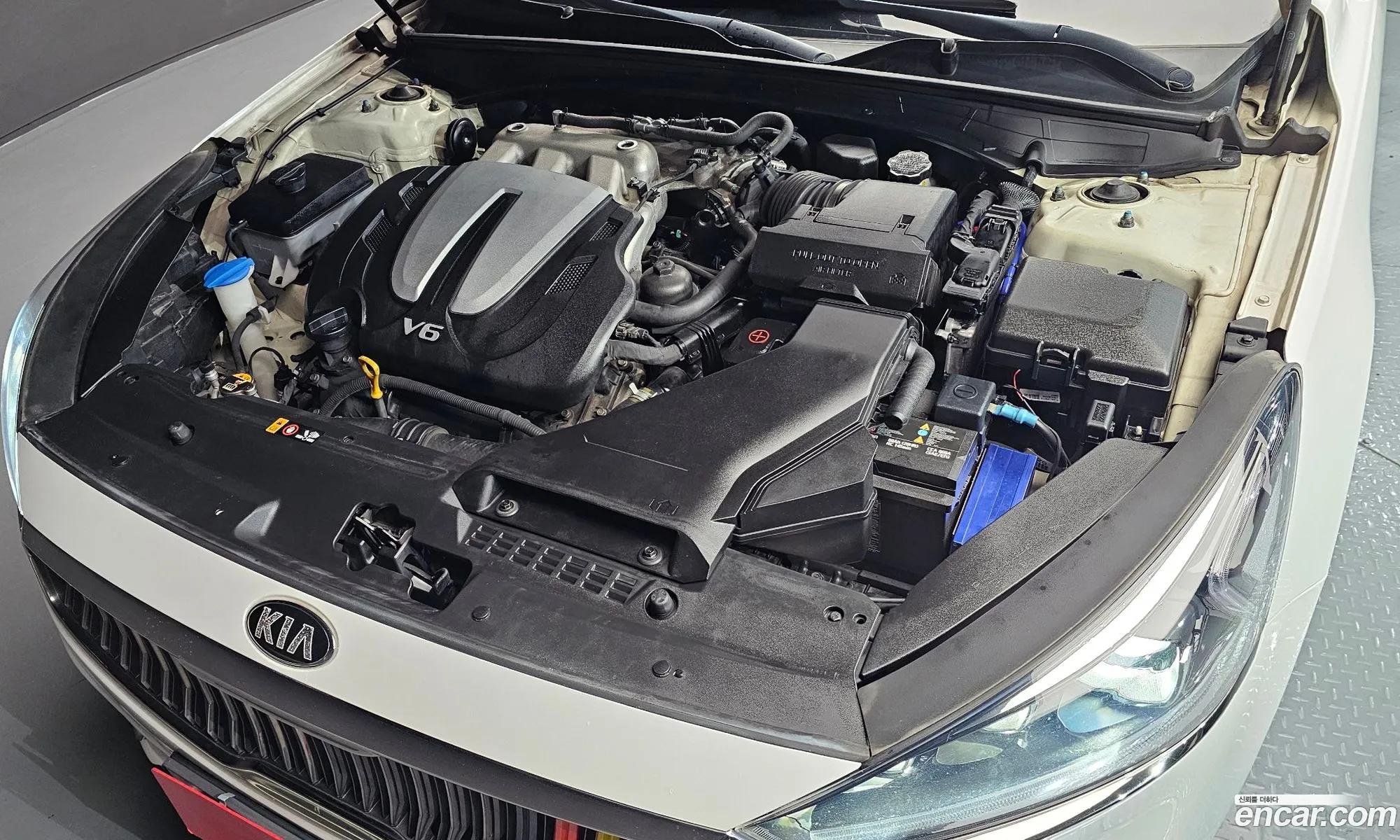 Korex Auto Trade - фотография 97873