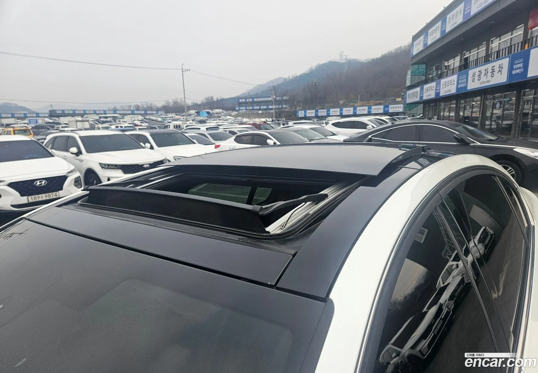 New Sm5 Platinum 16 TcesS Collection - фотография 15572803