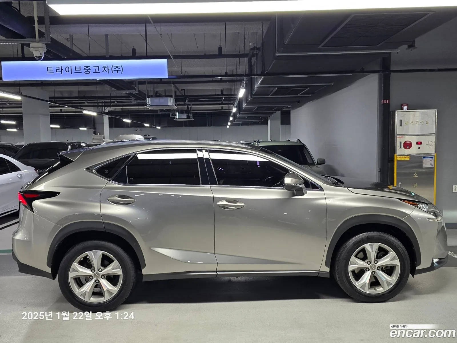 Korex Auto Trade - фотография 4539211