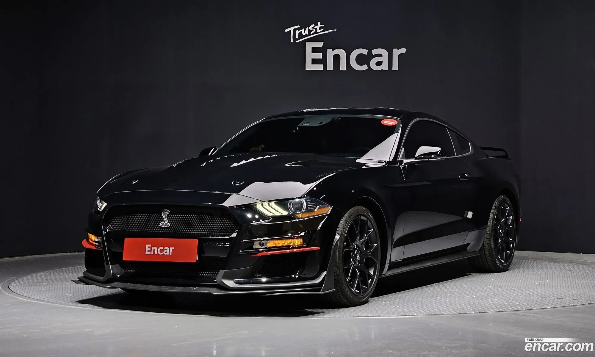 Mustang Coupe - фотография 3514124
